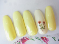 Campaign 守口 ネイルサロン Nail Space Vitalite ネイル アイラッシュ